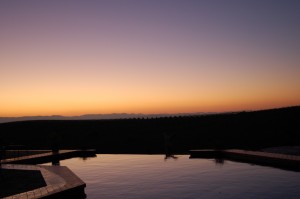 Kramer ranch pool view