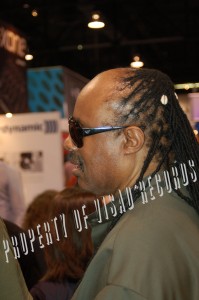 Stevie Wonder